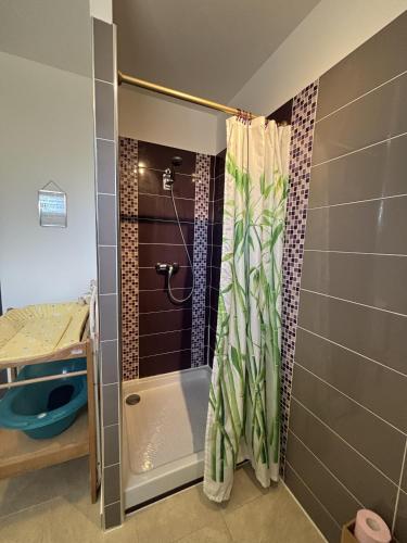 une douche avec un rideau de douche dans une salle de bain dans l'établissement Appartement Romana PUISSALICON 34, à Puissalicon