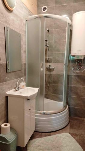 a bathroom with a shower and a sink at Oleandria-,, Domek Mięta" in Biskupiec