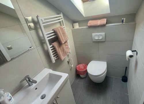 Koupelna v ubytování Tenisz Apartman