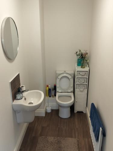 a small bathroom with a toilet and a sink at Lovely Family Home in Newtownards