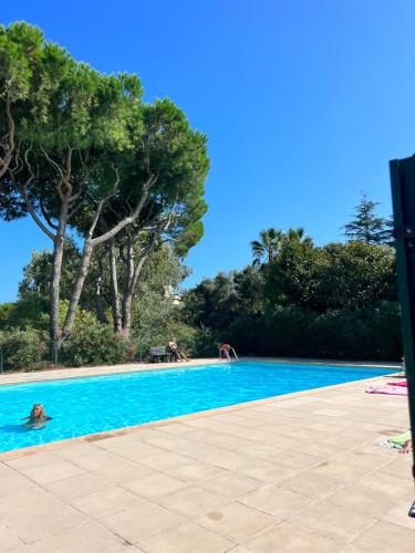 une personne se baignant dans une piscine dans l'établissement Charmant studio en bord de mer Antibes, à Antibes