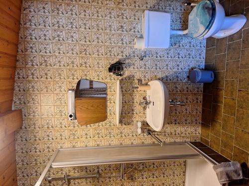 a bathroom with a toilet and a mirror at Haus Sprenger in Häselgehr