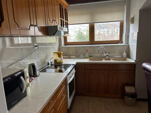 Kuchyň nebo kuchyňský kout v ubytování Stela's Apartment