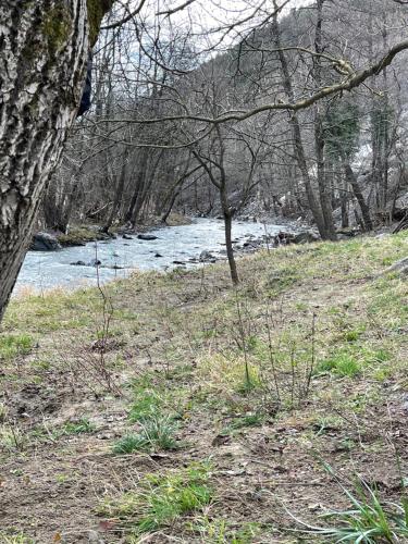 a river in a field with trees and a riverensionalensionalensionalensionalensionalensional at Borjak vikendica in Kamenica