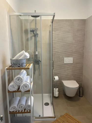 a bathroom with a shower and a toilet and towels at Studio Apartman Nika in Višnjan