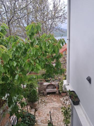 a view from a window of a garden with a bench at ROLEO Guest House in Lin