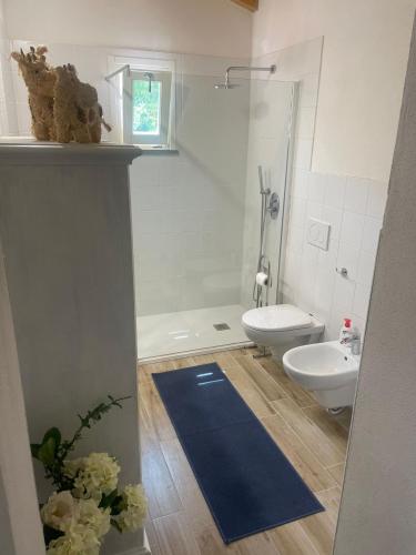 a bathroom with a white toilet and a blue rug at Casa Belvedere in Sasso Pisano