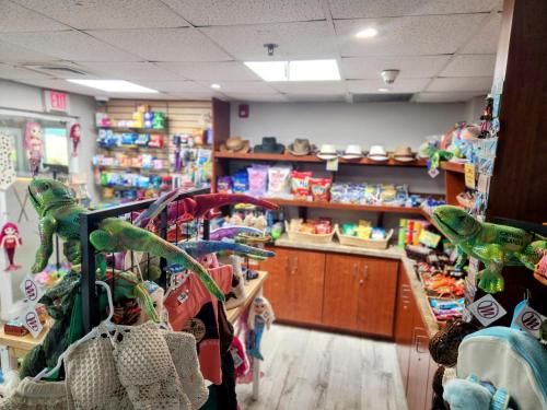 a store filled with lots of stuffed animals at Holiday Inn Resort Grand Cayman by IHG in George Town