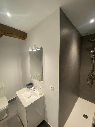 a bathroom with a sink and a toilet and a mirror at Apartamento centro Santander A in Santander