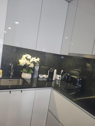 Appartement PONTE DE LIMA