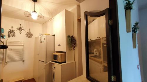 a small kitchen with a refrigerator and a microwave at L'Arco nel Borgo in Sacrofano