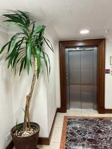 a potted plant in a hallway next to a door at 2 Bedroom Flat with 24 7 security and concierge in London