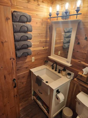 a bathroom with a sink and a mirror and towels at Deer Haven Cabin in New Straitsville