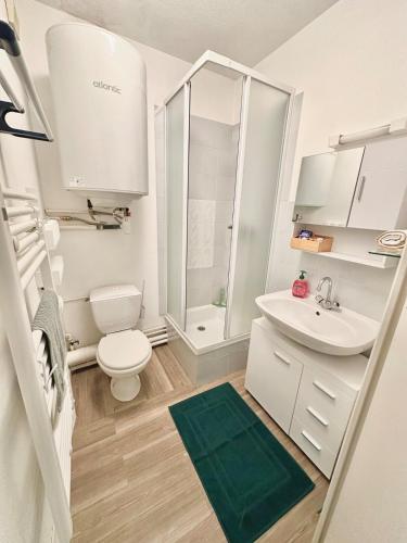 une salle de bain avec toilettes, lavabo et douche dans l'établissement Studio Île de Nantes, à Nantes