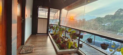 a balcony with potted plants and a view at Birdwing Cottage, Munnar in Munnar