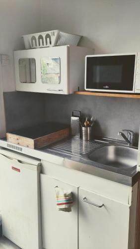 une cuisine avec un évier et un micro-ondes dans l'établissement Chambre - Studette Indépendante Zola, à Nantes
