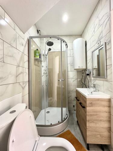 une salle de bain avec une douche, des toilettes et un lavabo dans l'établissement La maison du 4, à Épernay