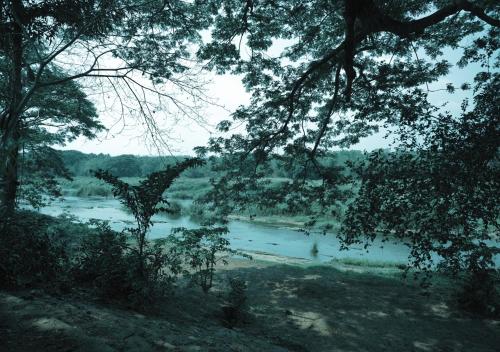 a view of a river through a group of trees at Vintage Vista in Lakkidi