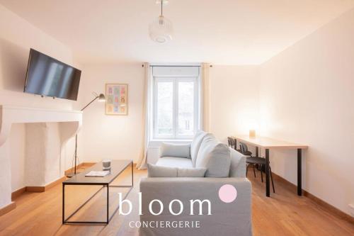 un salon avec un canapé et une table dans l'établissement Le Chaleureux Leclerc 2 chambres 4p, à Nancy