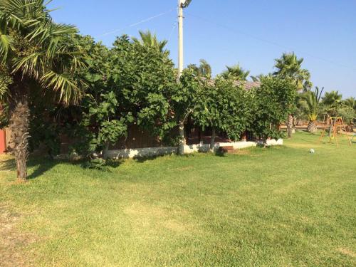 a house with a bunch of trees in a yard at Tenuta Annibale in Leverano