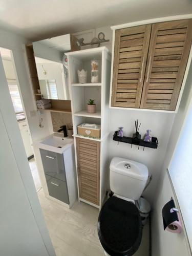 a small bathroom with a toilet and a sink at Bungalow cosy varois avec piscine soleil calme et nature in Pourrières