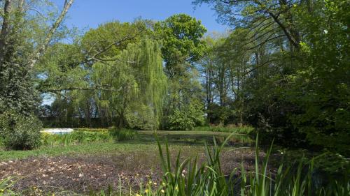 a park with a pond and trees and grass at Il Casale Di Villa Rossi in Lucca