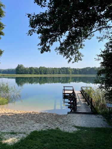 un molo sulla riva di un lago di Domek z sauną i balią w Borach tucholskich a Bysław