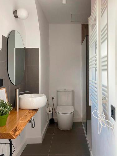 a bathroom with a sink and a toilet and a mirror at Cal Moline 1 in Aviá