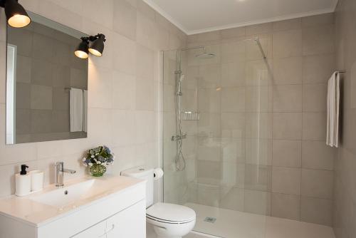 a bathroom with a shower and a toilet and a sink at Vila Marta - Toutinegra in Vila Franca do Campo