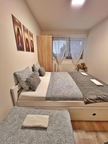 a bedroom with a large bed and two windows at Ubytování Hrušky in Hrušky