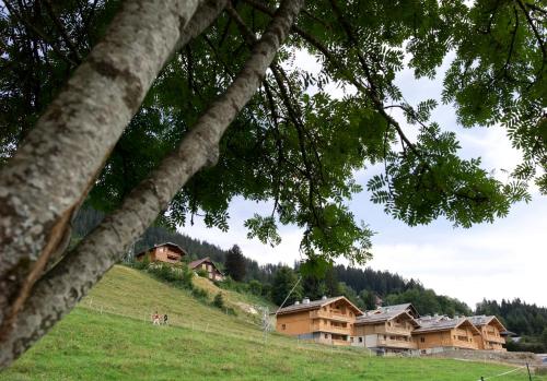 un groupe de maisons sur une colline avec des arbres dans l'établissement CGH Résidences & Spas Les Chalets de Jouvence, aux Carroz d'Arâches