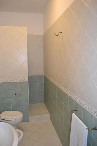 a bathroom with a toilet and a shower at Agriturismo Fara del Falco in Vieste