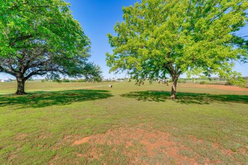 two trees in a field with green grass at 8 Mi to Lewisville Lake Peaceful Countryside Home in New Hope
