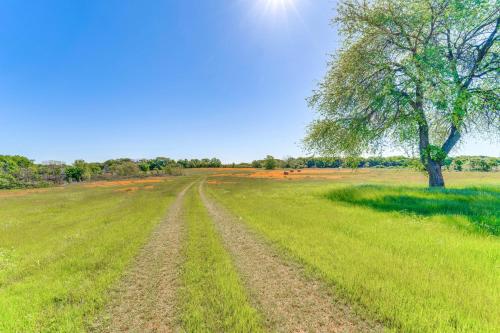 a dirt road in a field with a tree at 8 Mi to Lewisville Lake Peaceful Countryside Home in New Hope