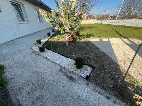 un arbre au milieu d'une allée dans l'établissement Дом Мария, à Bălţi