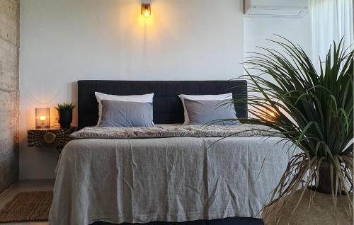 a bedroom with a bed with a black headboard and a plant at 3 Bedroom Gorgeous Home In Klimno in Klimno
