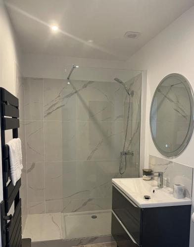 une salle de bain avec une douche, un lavabo et un miroir dans l'établissement Les Carmes - Logement entier, appartement, Vienne - France, à Vienne