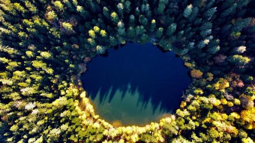 an aerial view of a lake in the middle of a forest at Motel l'eau vive in Raon-lʼÉtape