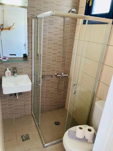 a bathroom with a shower and a toilet and a sink at Endless Blue Studios in Myrtos