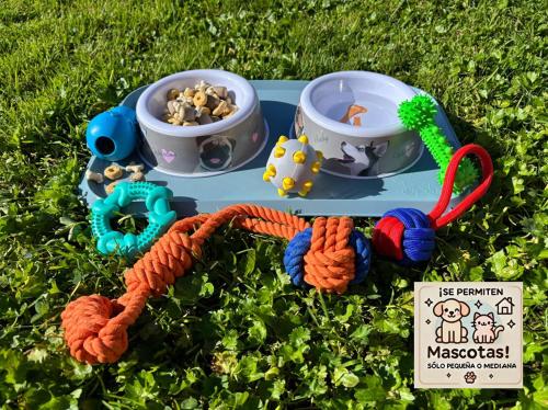 a toy set sitting on the grass with a bowl of food at "LAS CAMELIAS SOMO" un lugar para desconectar!! Vistas al MAR!! in Somo