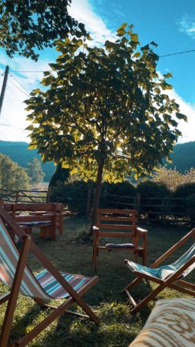 Fotografie z fotogalerie ubytování Vila Helena v destinaci Colići