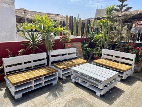 three white benches sitting on a patio with plants at Fadidi House in Dakar