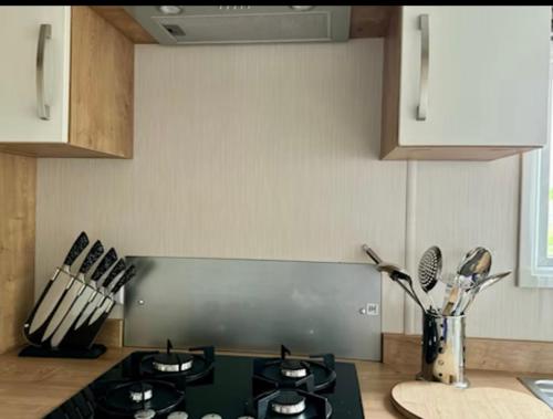 Η κουζίνα ή μικρή κουζίνα στο 5 Minutes Walk From Beach , Accessible Pet Friendly Caravan With Hot Tub On Coastfields Holiday Village