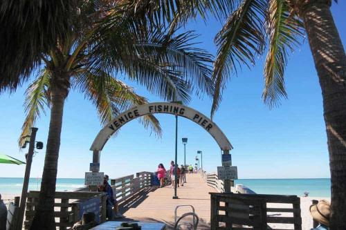 a pier with palm trees on the beach at Venice Florida near beach in Venice