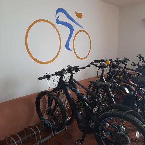 Vélo sur le terrain de l'établissement Hotel Firenze 3 Stelle Superior ou dans les environs