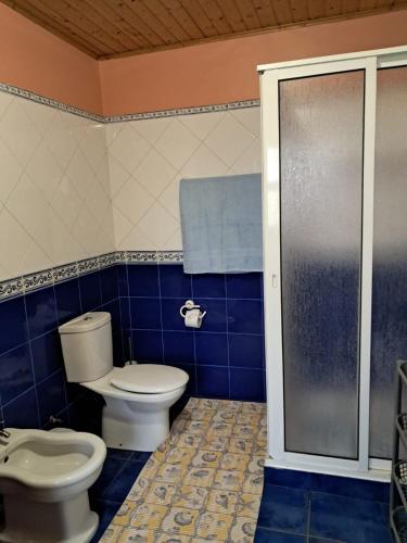 a blue tiled bathroom with a toilet and a shower at O Chalé das Borboletas in Santa Maria Madalena