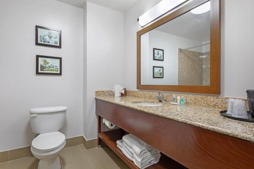Koupelna v ubytování Comfort Suites DFW N-Grapevine
