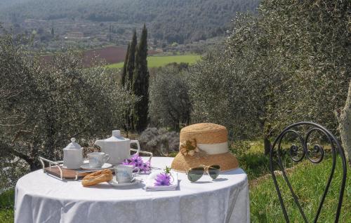Φυσικό τοπίο κοντά σε αυτό το διαμέρισμα