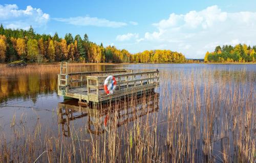un muelle en medio de un gran lago en 1 Bedroom Nice Home In Åsnes Finnskog, en Bakken