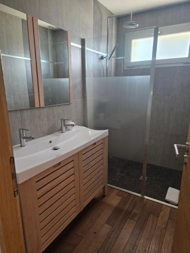 une salle de bain avec un lavabo et une douche dans l'établissement Villa LEONIE piscine clim 5 chambres 1 dortoir 15 PERSONNES, à Avignon